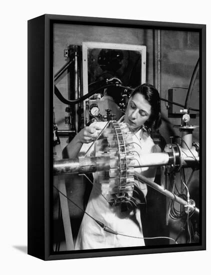 Dr. Liane Russell Studying Effects of Radiation on Mouse Genetics at Oak Ridge National Laboratory-null-Framed Premier Image Canvas