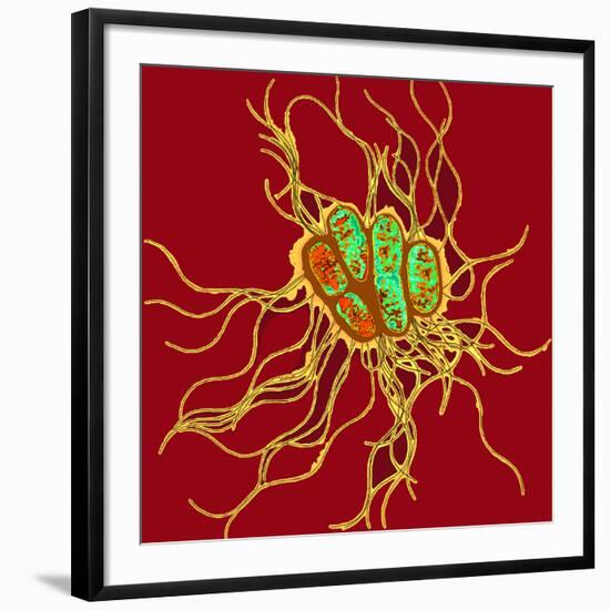 Photographic Print, , large