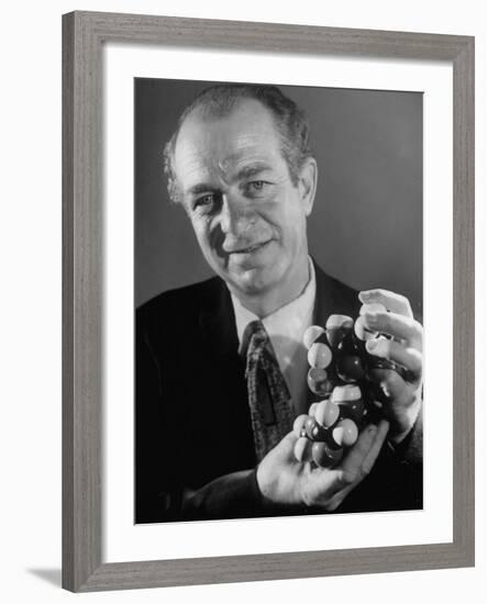 Dr. Linus Pauling Holding a Wooden Model of the Molecular Structure of Protein-Ralph Morse-Framed Premium Photographic Print