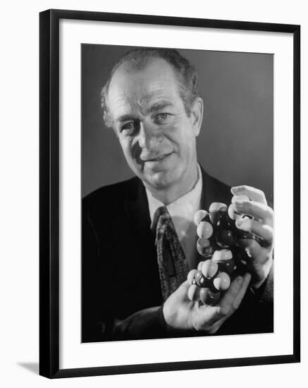 Dr. Linus Pauling Holding a Wooden Model of the Molecular Structure of Protein-Ralph Morse-Framed Premium Photographic Print