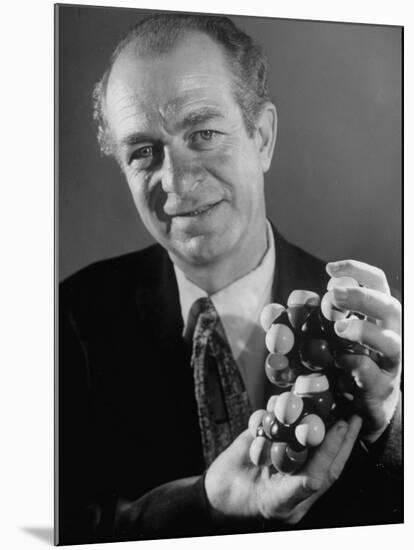 Dr. Linus Pauling Holding a Wooden Model of the Molecular Structure of Protein-Ralph Morse-Mounted Premium Photographic Print