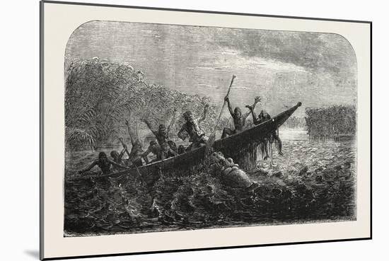 Dr. Livingstone's Missionary Travels and Researchers in South Africa: Boat Capsized by a Hippopotam-null-Mounted Giclee Print