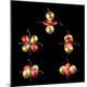 Premium Photographic Print