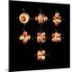 Premium Photographic Print