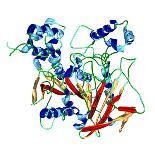 Cholinesterase Enzyme-Dr. Mark J.-Premium Photographic Print