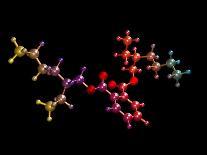 Alcohol Dehydrogenase, Molecular Model-Dr. Mark J.-Photographic Print