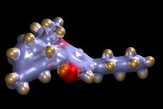 Hyaluronic Acid, Molecular Model-Dr. Mark J.-Photographic Print