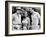 Dr No, L-R: Jack Lord, Ursula Andress, Sean Connery, 1962-null-Framed Photo