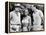 Dr No, L-R: Jack Lord, Ursula Andress, Sean Connery, 1962-null-Framed Stretched Canvas