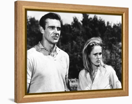 Dr. No-null-Framed Stretched Canvas