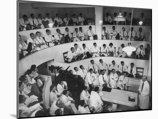 Dr. Reinan Deilvers Lecture to Medical Students in Amphitheatre-Lisa Larsen-Mounted Photographic Print