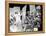 Dr. Rhythm De Franktuttle Avec Louis Armstrong 1938-null-Framed Stretched Canvas