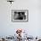Dr. Strangelove-null-Framed Photo displayed on a wall