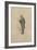 Dr Strong, C.1920s-Joseph Clayton Clarke-Framed Giclee Print