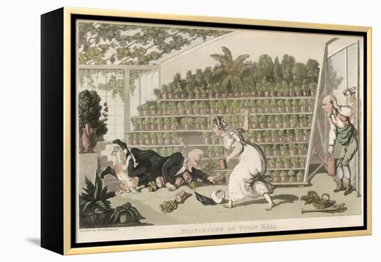 Dr Syntax, Misfortune at Tulip Hall-Thomas Rowlandson-Framed Stretched Canvas