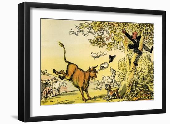 'Dr Syntax pursued by a bull'-Thomas Rowlandson-Framed Giclee Print