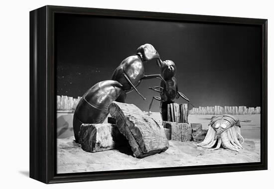 Dr Who, the Web Planet, 1965-Alisdair Macdonald-Framed Premier Image Canvas