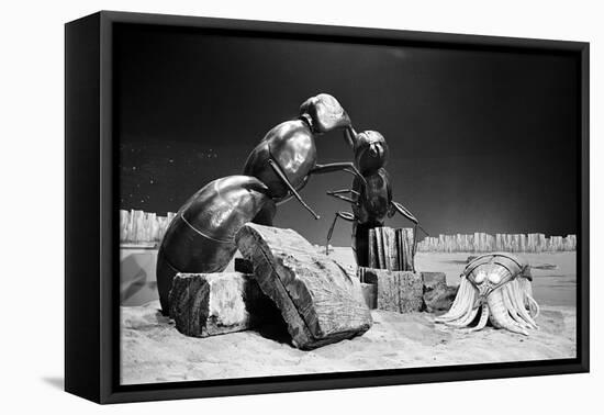 Dr Who, the Web Planet, 1965-Alisdair Macdonald-Framed Premier Image Canvas