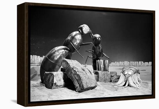 Dr Who, the Web Planet, 1965-Alisdair Macdonald-Framed Premier Image Canvas