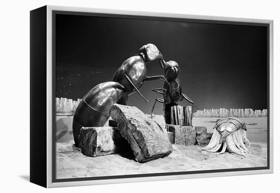 Dr Who, the Web Planet, 1965-Alisdair Macdonald-Framed Premier Image Canvas