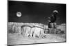 Dr Who, the Web Planet, 1965-Alisdair Macdonald-Mounted Photographic Print