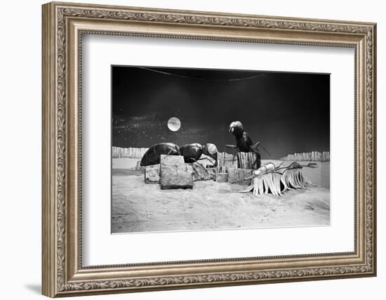 Dr Who, the Web Planet, 1965-Alisdair Macdonald-Framed Photographic Print