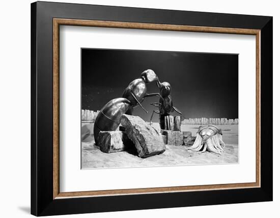 Dr Who, the Web Planet, 1965-Alisdair Macdonald-Framed Photographic Print