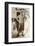 'Dr. Wilson', c1911, (1913)-Herbert Ponting-Framed Photographic Print