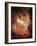 DR6 Nebula-null-Framed Photographic Print