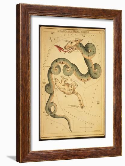 Draco and Ursa Minor Constellations, 1825-Science Source-Framed Giclee Print