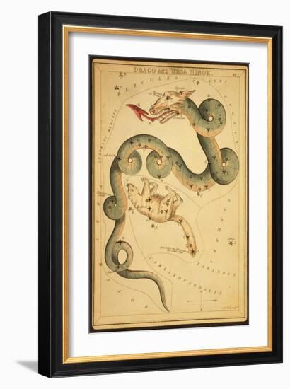Draco and Ursa Minor Constellations, 1825-Science Source-Framed Giclee Print