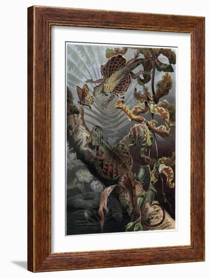 Draco by Alfred Edmund Brehm-Stefano Bianchetti-Framed Giclee Print