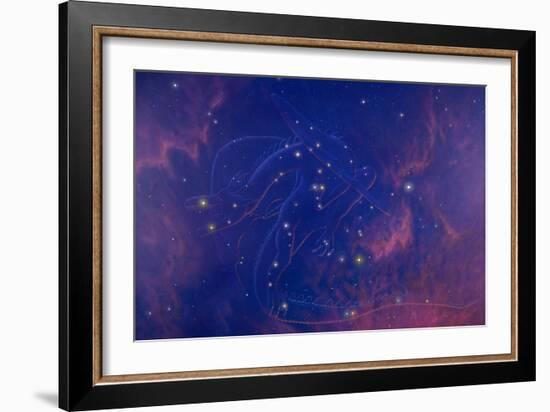 Draco Constellation-Chris Butler-Framed Photographic Print