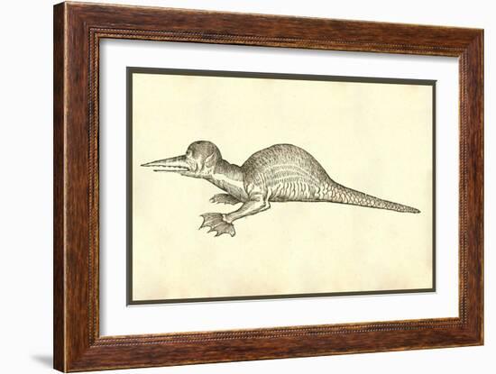 Draco Marinus Monophthalmos Bipes-Ulisse Aldrovandi-Framed Art Print