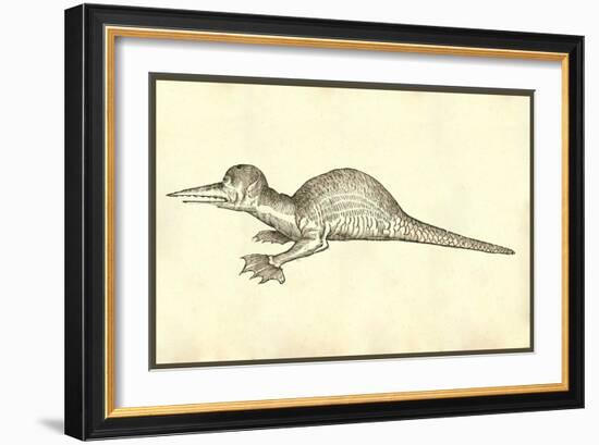 Draco Marinus Monophthalmos Bipes-Ulisse Aldrovandi-Framed Art Print