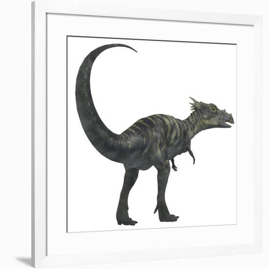 Dracorex Dinosaur from the Cretaceous Period-Stocktrek Images-Framed Art Print