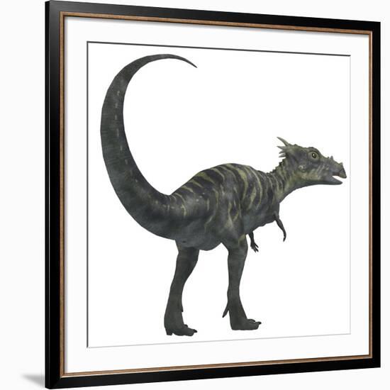 Dracorex Dinosaur from the Cretaceous Period-Stocktrek Images-Framed Art Print