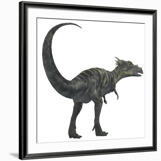 Dracorex Dinosaur from the Cretaceous Period-Stocktrek Images-Framed Art Print