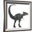 Dracorex Dinosaur from the Cretaceous Period-Stocktrek Images-Framed Art Print