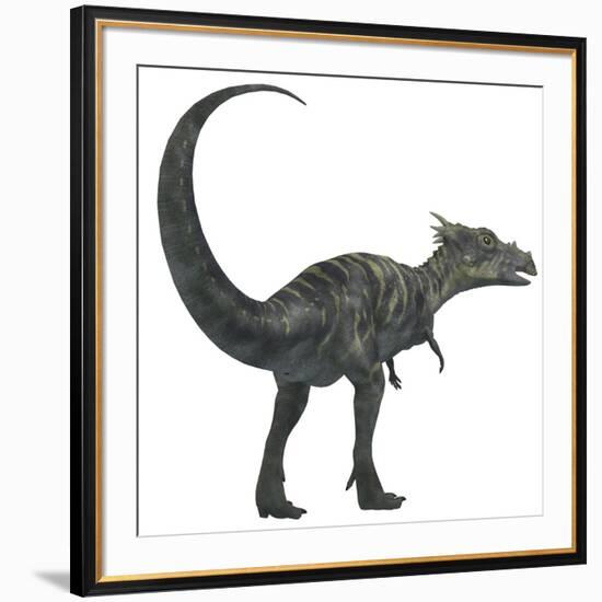 Dracorex Dinosaur from the Cretaceous Period-Stocktrek Images-Framed Art Print