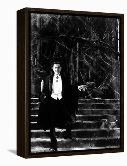 Dracula, Bela Lugosi, 1931-null-Framed Stretched Canvas