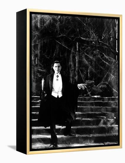 Dracula, Bela Lugosi, 1931-null-Framed Stretched Canvas