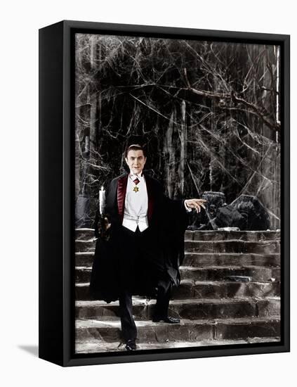 Dracula, Bela Lugosi, 1931-null-Framed Stretched Canvas