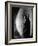 Dracula, Bela Lugosi, 1931-null-Framed Photo