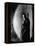 Dracula, Bela Lugosi, 1931-null-Framed Stretched Canvas