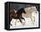 Draft Horse Running With Quarter Horses in Snow-Darrell Gulin-Framed Premier Image Canvas