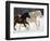 Draft Horse Running With Quarter Horses in Snow-Darrell Gulin-Framed Photographic Print