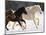 Draft Horse Running With Quarter Horses in Snow-Darrell Gulin-Mounted Photographic Print