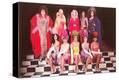 Stretched Canvas Print