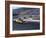 Drag Racing, Denver, Colorado, USA-null-Framed Photographic Print